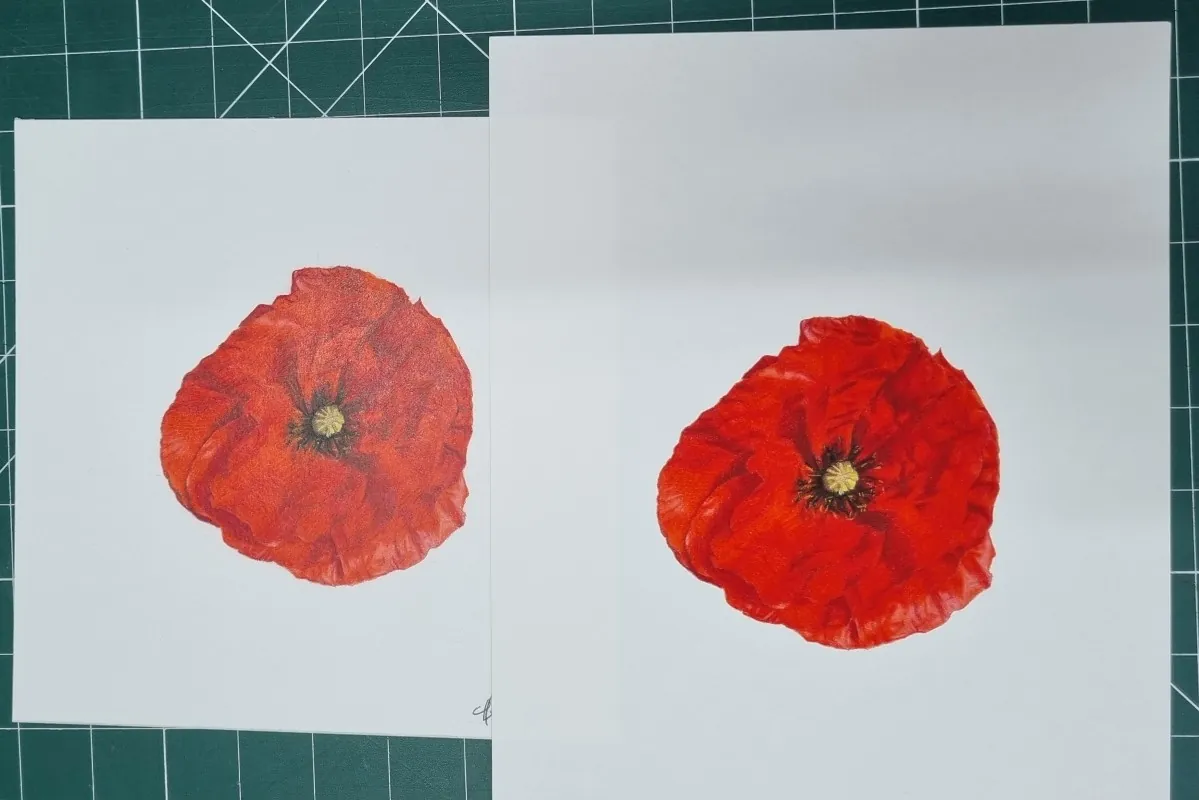 Original red poppy painting beside its giclée print on the studio cutting mat