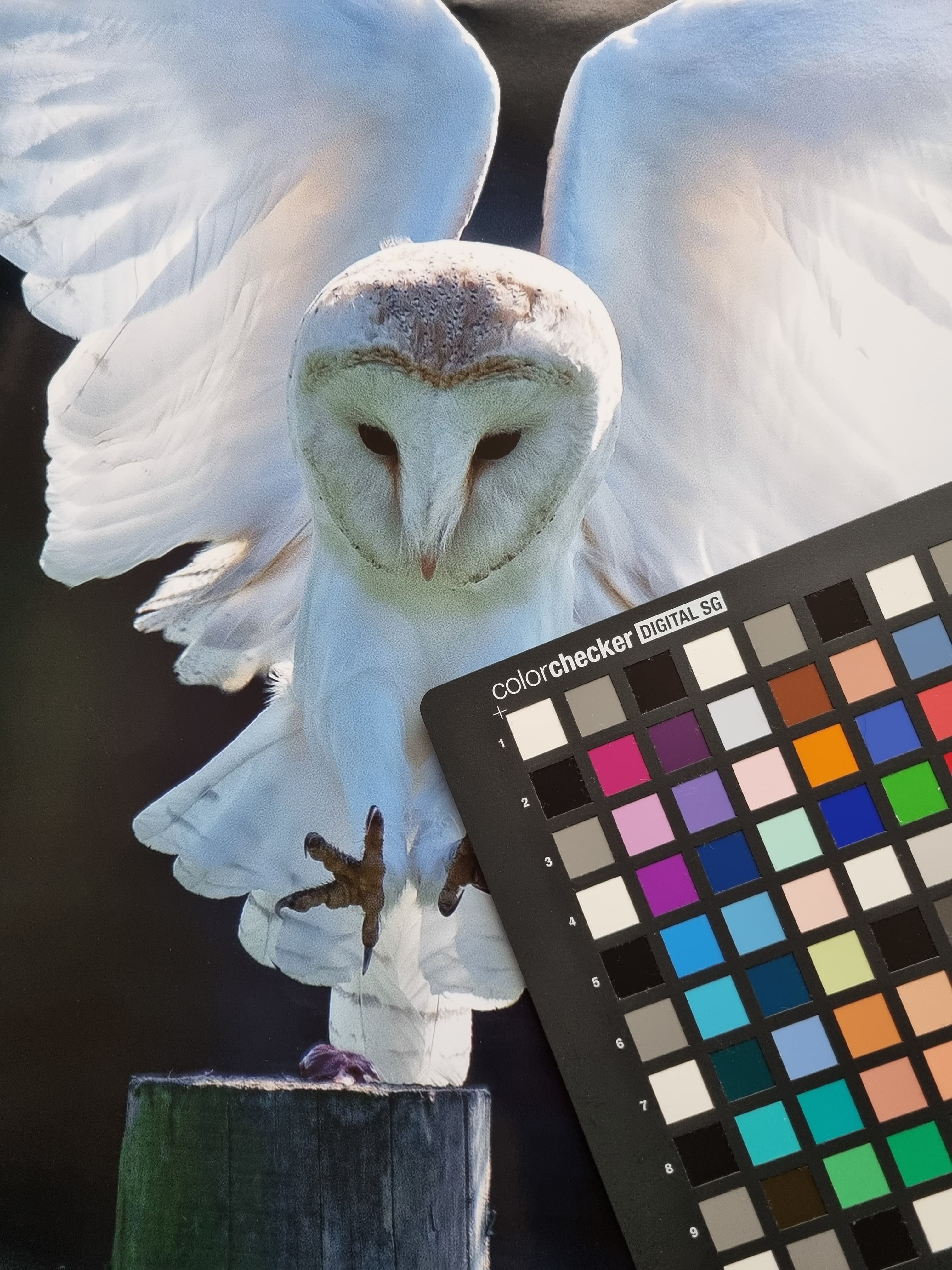 Colour management